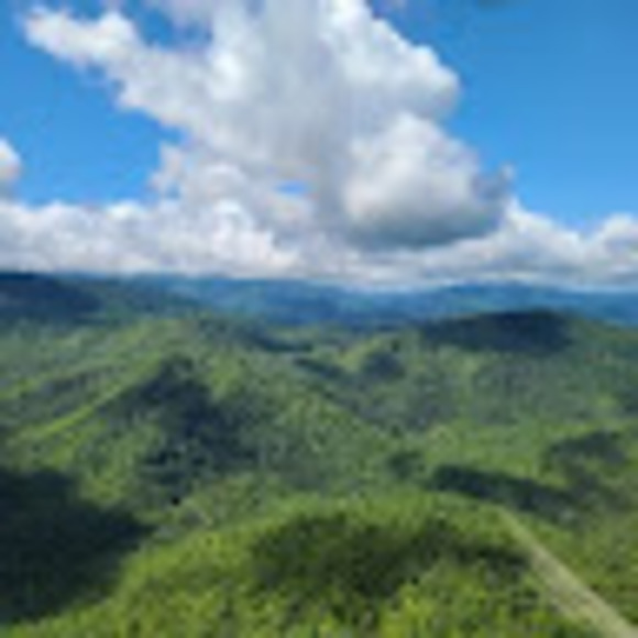 Meet your Posher, Liz - Picture 1 of 1